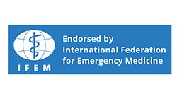 IFEM LOGO