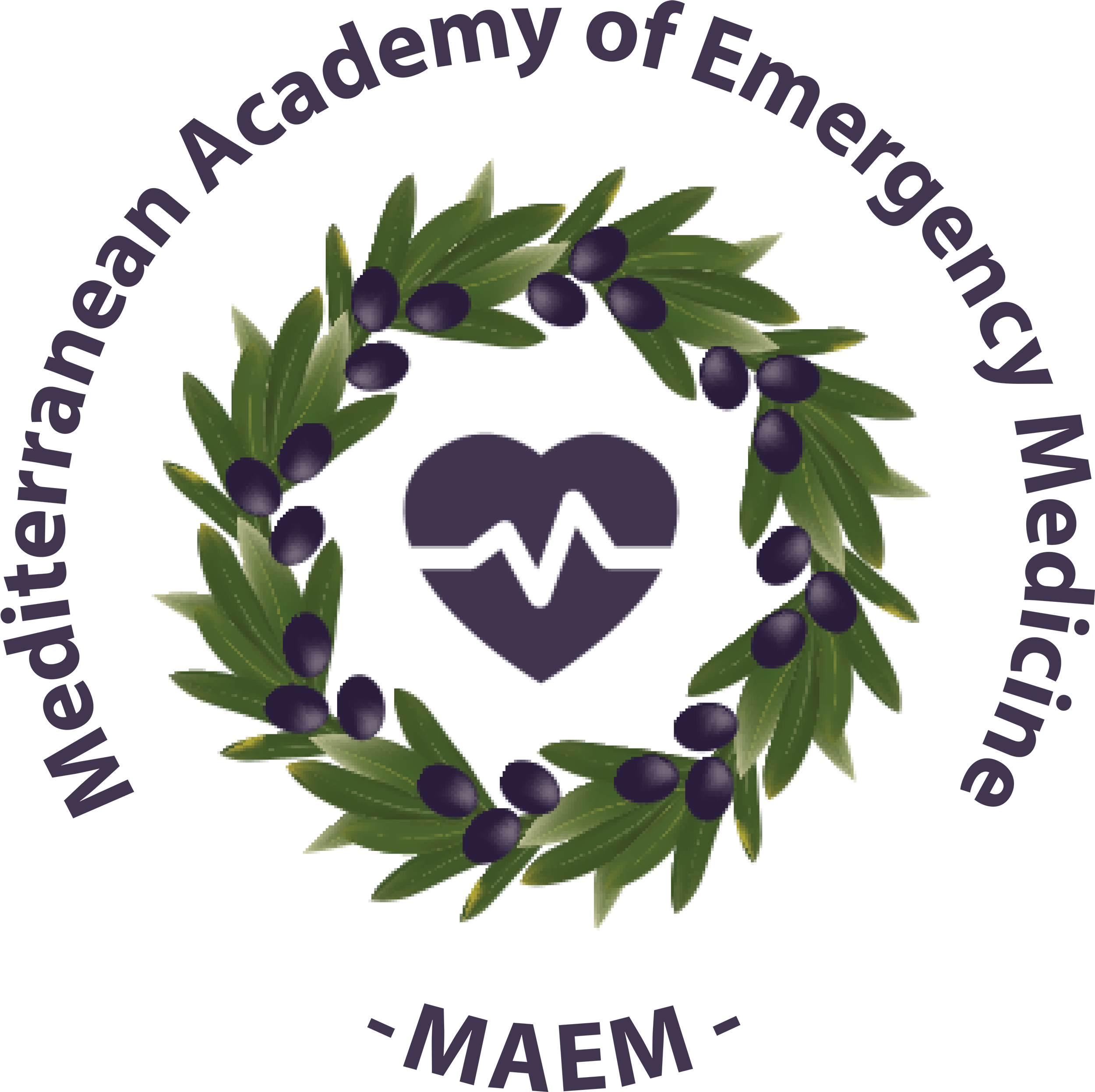 MAEM logo